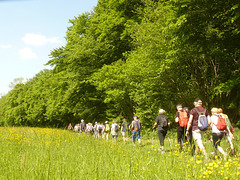 Chemin en Beaujolais !