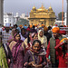 Pilgrims at the Golden Temple, Amritsar