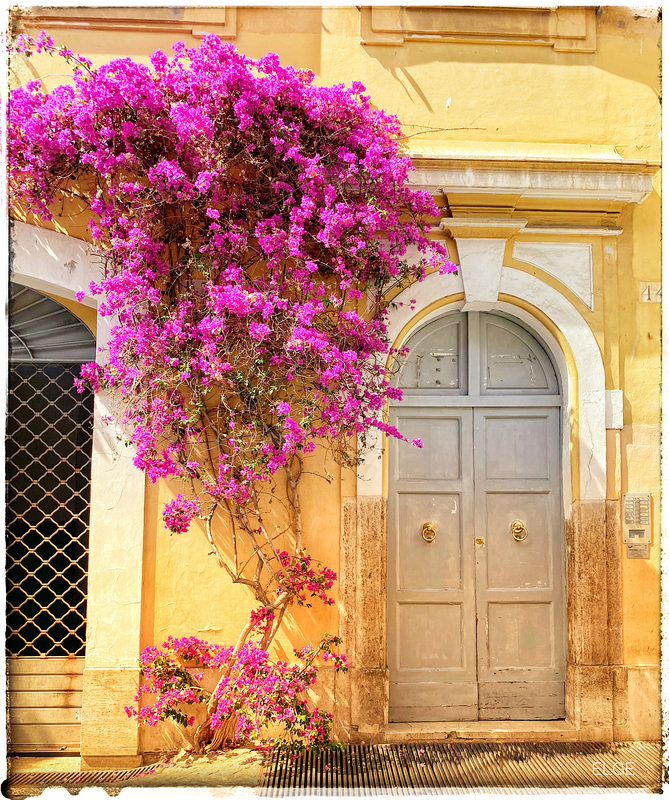 Italia