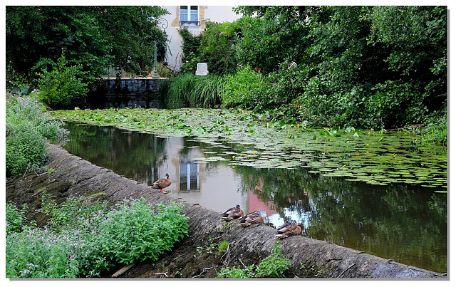 298 L'Armançon, Semur en Auxois. 21