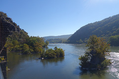 DSC09338
