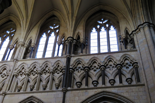 beverley minster, yorks