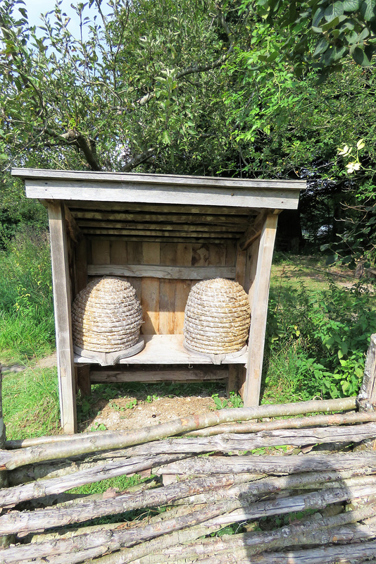 weald and downland museum, sussex