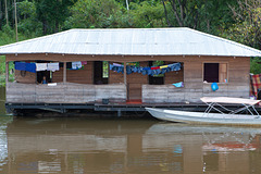 Amazonas-0043