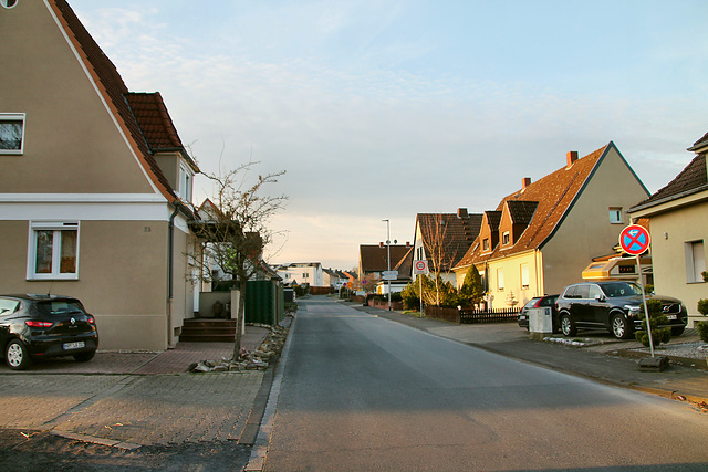 Am Hämmschen (Hamm-Heessen) / 17.03.2020