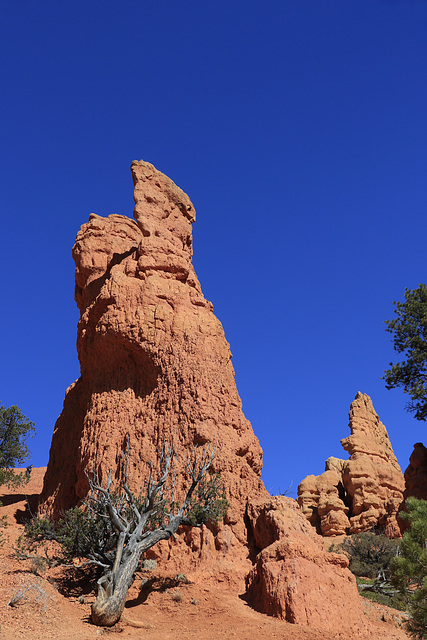 Red Canyon, Utah