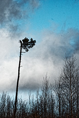 20250330_Wanderung Elbingerode