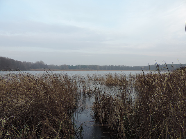 Am Heegesee