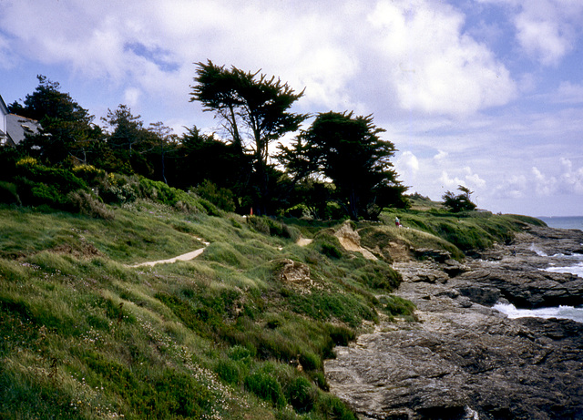 Küstenabschnitt in Südfrankreich