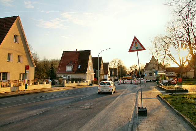 Am Hämmschen (Hamm-Heessen) / 17.03.2020