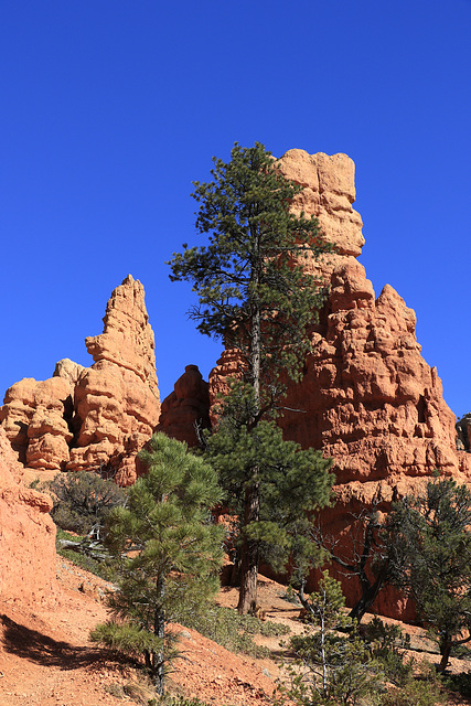 Red Canyon, Utah