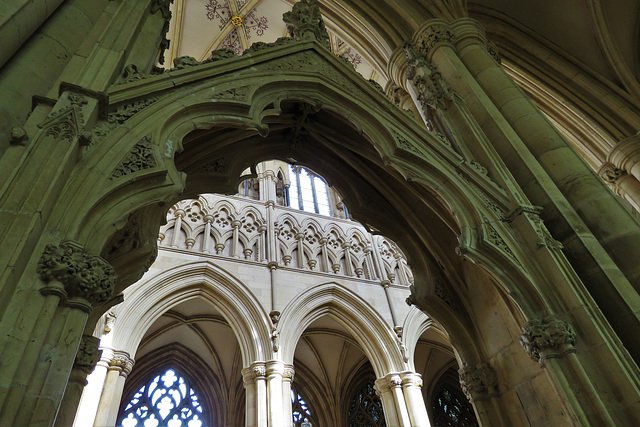 beverley minster, yorks