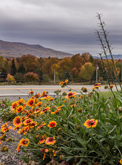 Campagne de Bromont