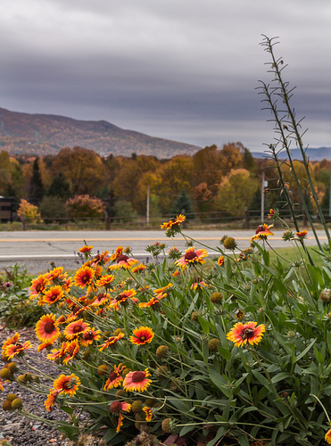 Campagne de Bromont