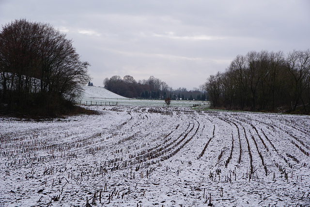 Winterliche Felder