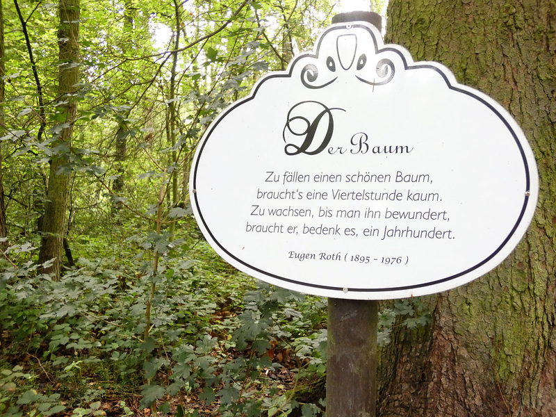Der Baum