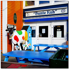 "Bunte Kuh"-Bank