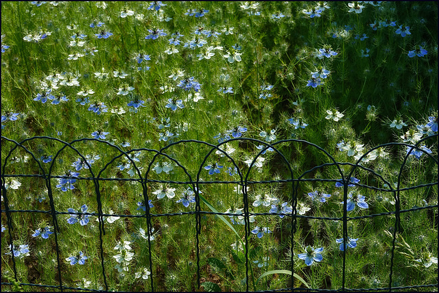 Eingehegtes Blumenbeet