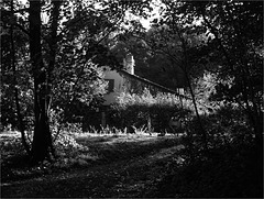 Maison dans la forêt