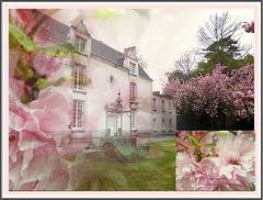Le château de Cassemichère , berceau du muscadet, (44): collage de trois photos