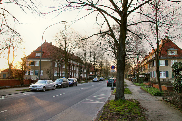 Vogelsang (Hamm-Heessen) / 17.03.2020