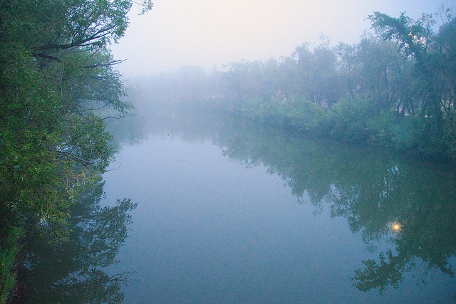 Wascana Creek in fog