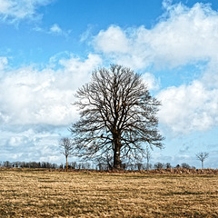 20250330_Wanderung Elbingerode