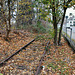 Altes Zechenbahngleis neben der Von-Waldthausen-Straße (Bochum-Werne) / 20.11.2018