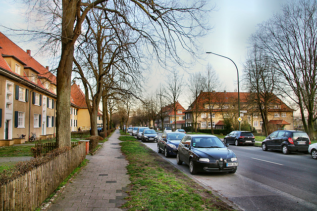Siedlung Vogelsang (Hamm-Heessen) / 17.03.2020