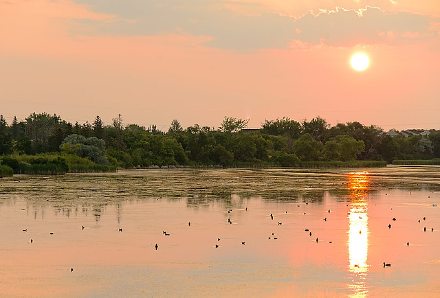 fiery sunrise over Wascana Lake