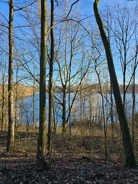 Köln Dünnwald - Höhenfelder See