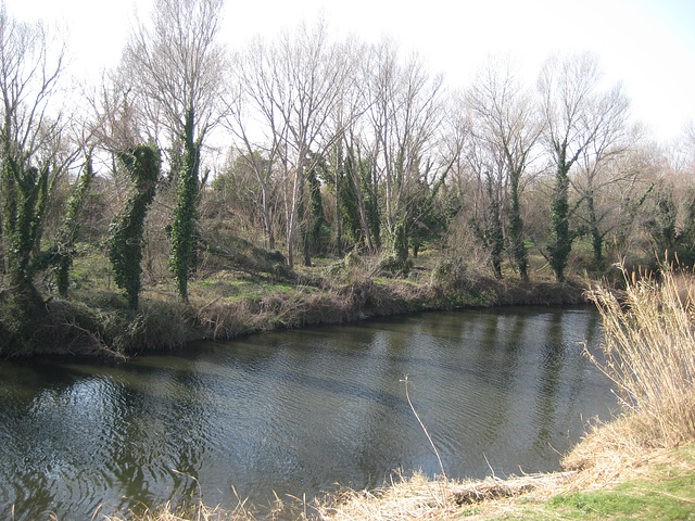 Die Muga, Fluss zum Mittelmeer. (6165)