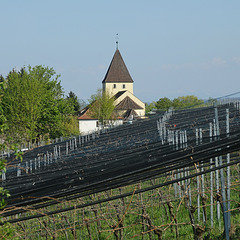 St. Georg auf der Insel Reichenau