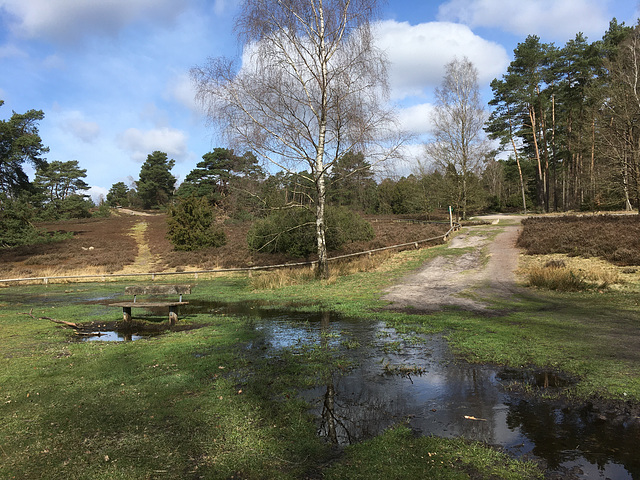 Hat HWW Wasserförderung aus der Nordheide eingestellt?