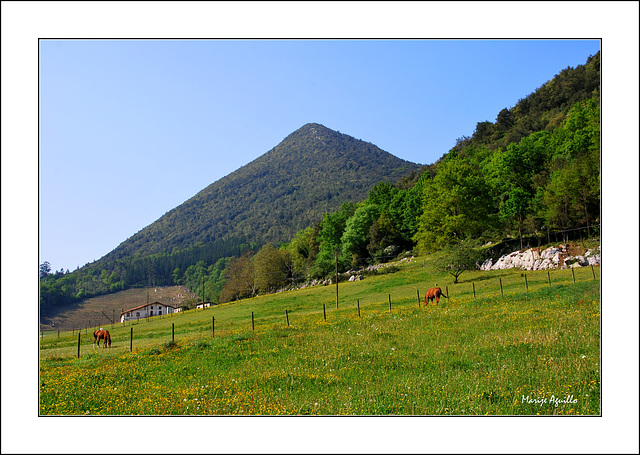 Valle de Oma