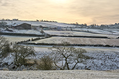 Scouthead in winter