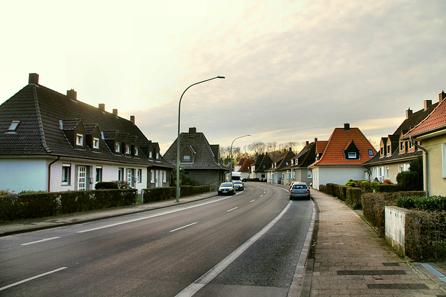 Mansfelder Straße (Hamm-Heessen) / 17.03.2020