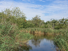 A view across the Mill Pond, Langstone Harbour