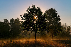 Sonnenaufgang bei Betzdorf