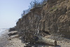 Cliff erosion 3