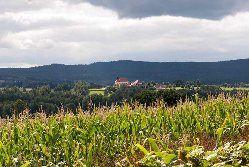 Neualbenreuth
