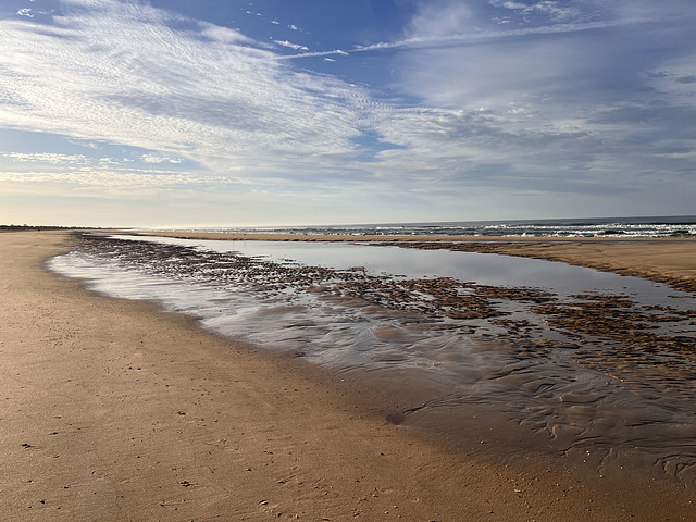 Early morning walk on the beach