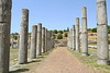 Greece - Ancient Messene