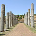 Greece - Ancient Messene