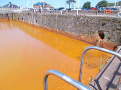 whn[25] - truly "OrangeHaven" in June 2025 {1 of 3}