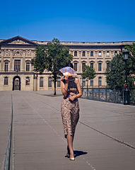 Pont des artes Pont des artes