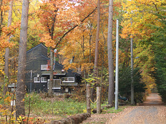 House in colored leaves