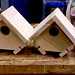 birdhouses