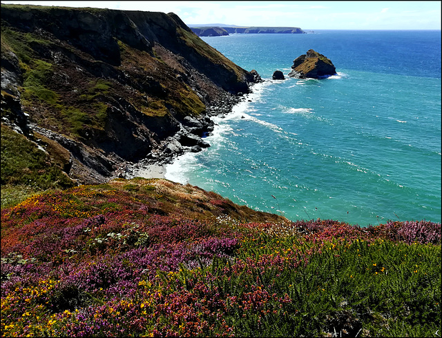 High tide, Basset Cove and Crane Islands.