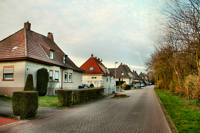 August-Schüttken-Weg (Hamm-Heessen) / 17.03.2020